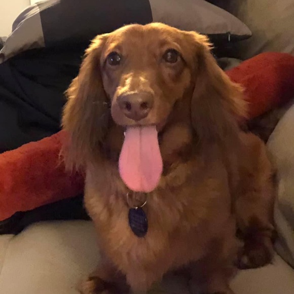 Meet your Posher, Melissa - Picture 8 of 12